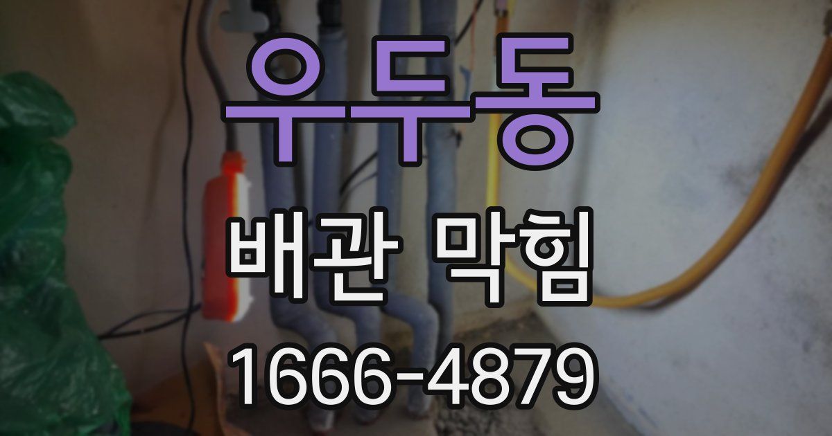 우두동 배관 막힘