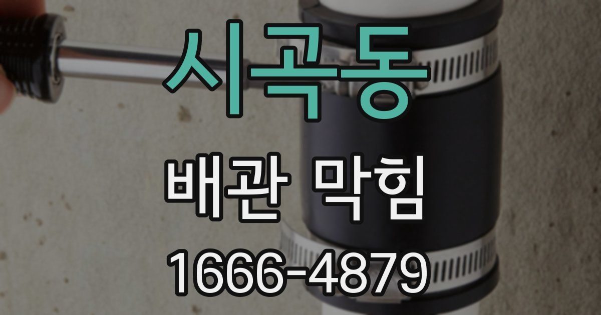시곡동 배관 막힘