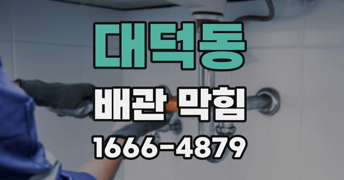 대덕동 배관 막힘