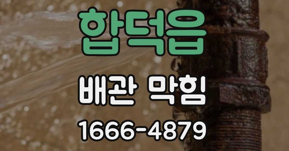 합덕읍 배관 막힘