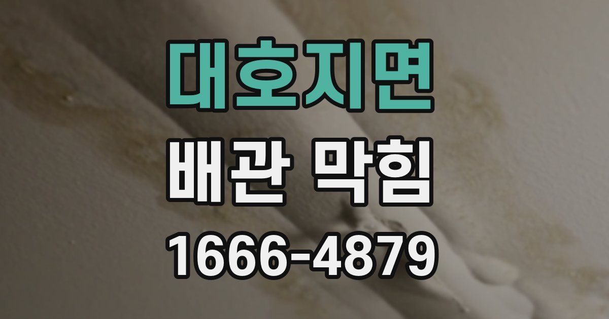 대호지면 배관 막힘
