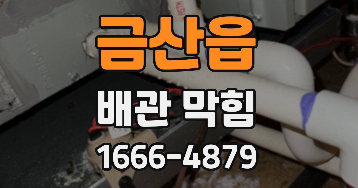 금산읍 배관 막힘