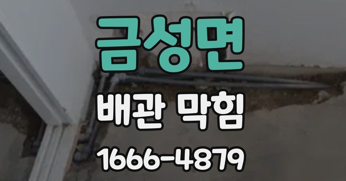 금성면 배관 막힘