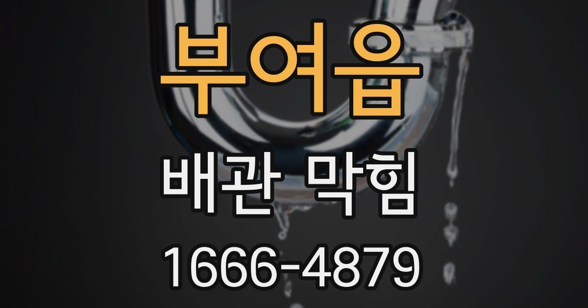 부여읍 배관 막힘