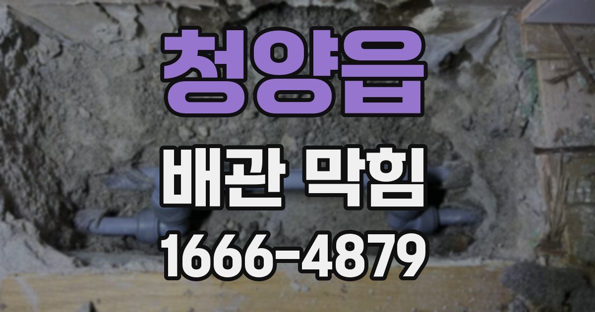 청양읍 배관 막힘