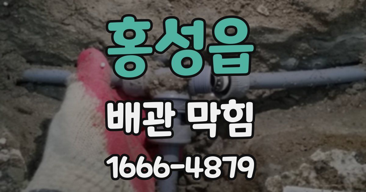 홍성읍 배관 막힘