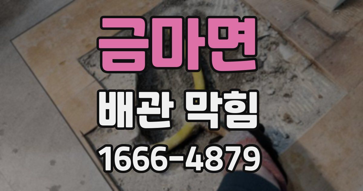 금마면 배관 막힘