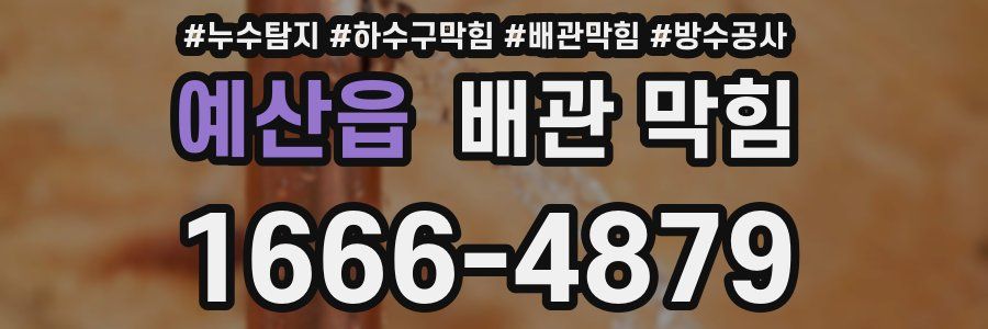 예산읍 배관 막힘