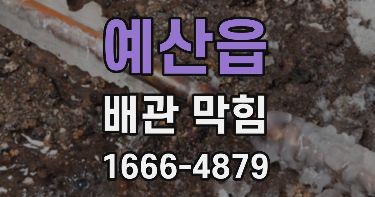 예산읍 배관 막힘