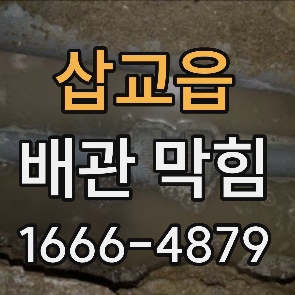 삽교읍 배관 막힘
