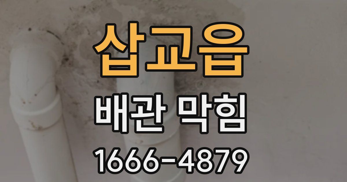 삽교읍 배관 막힘