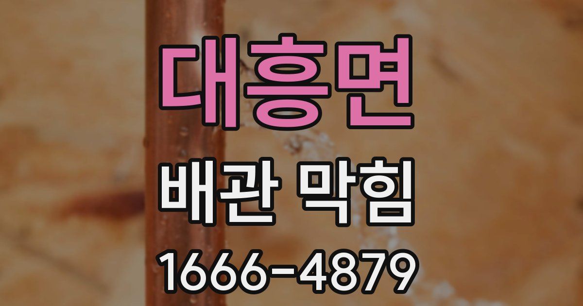 대흥면 배관 막힘