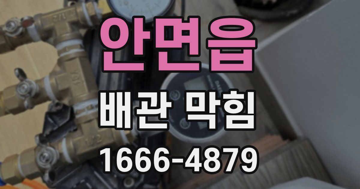 안면읍 배관 막힘
