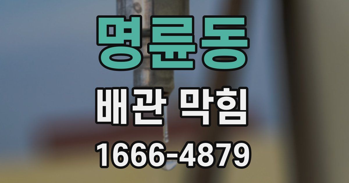 명륜동 배관 막힘