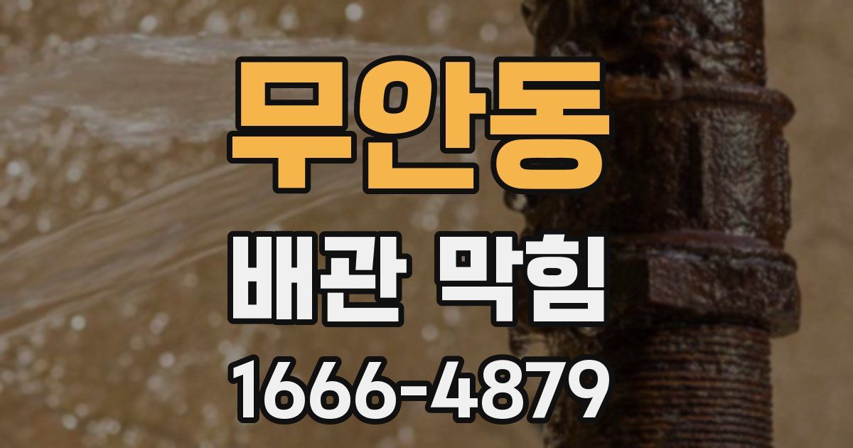 무안동 배관 막힘