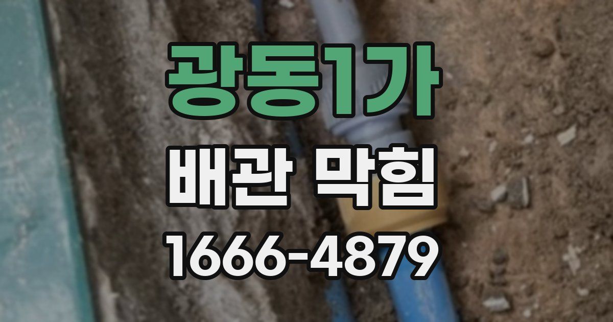 광동1가 배관 막힘