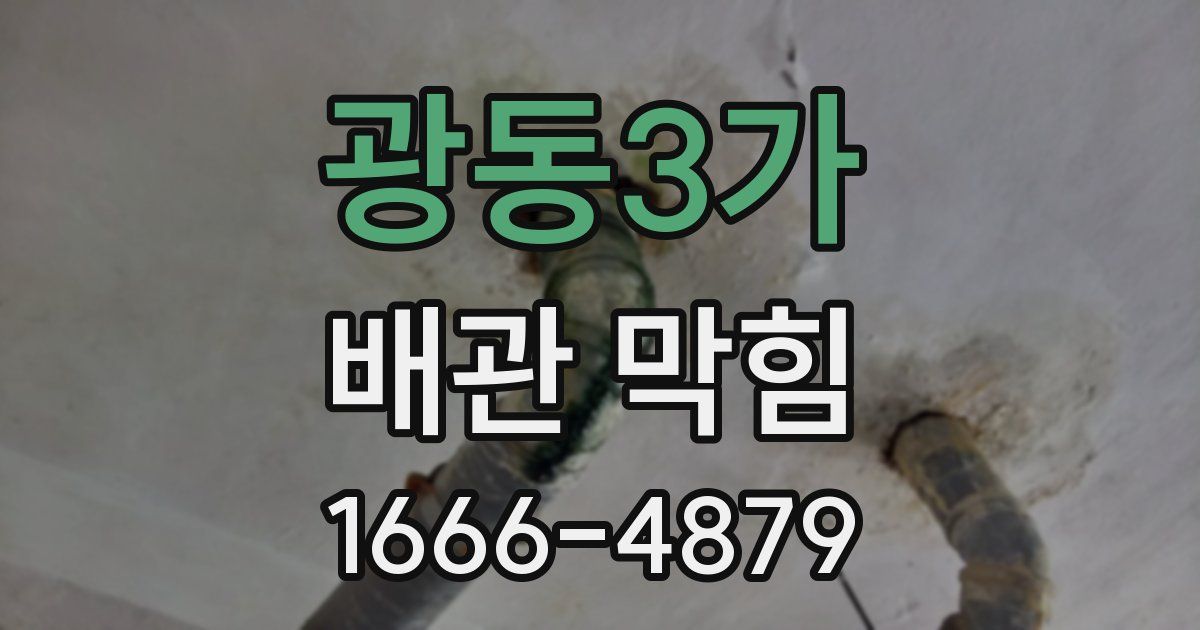 광동3가 배관 막힘