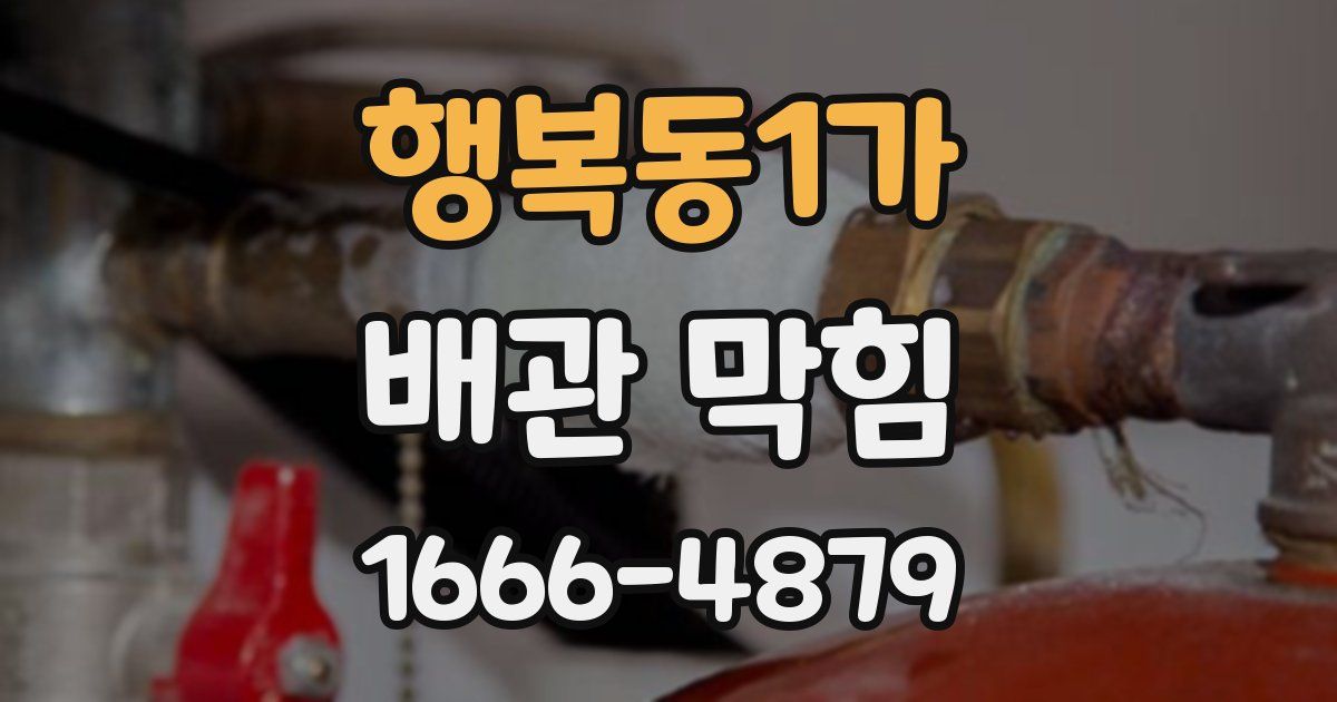 행복동1가 배관 막힘
