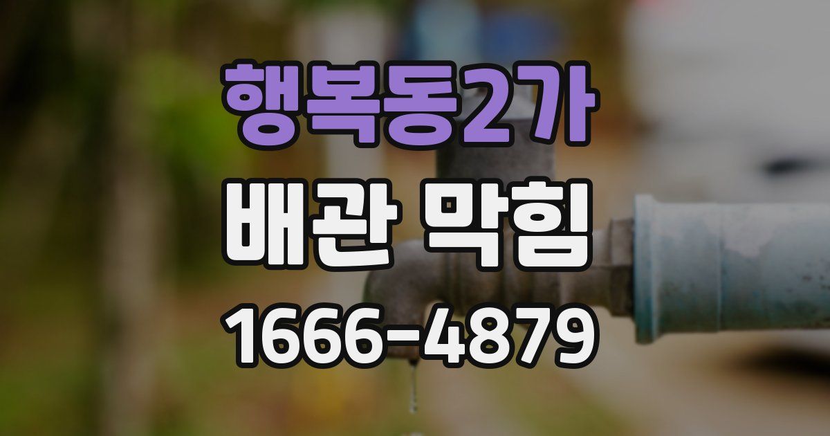 행복동2가 배관 막힘