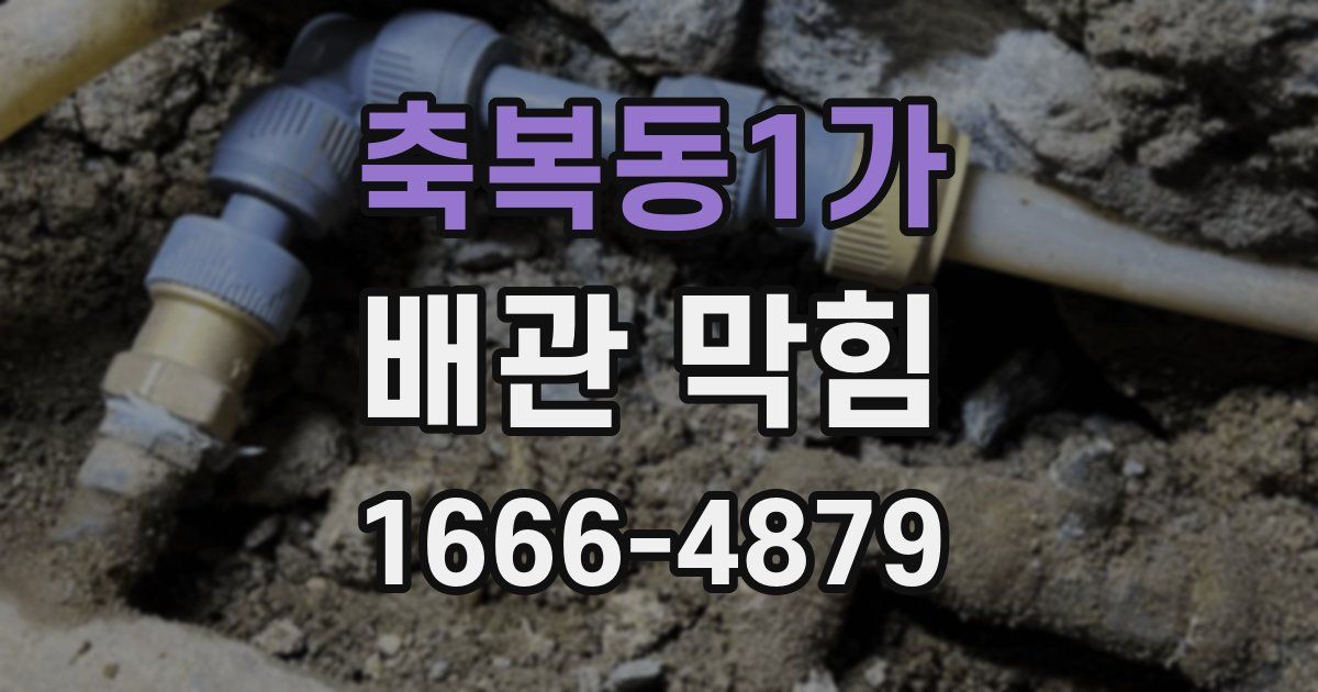축복동1가 배관 막힘