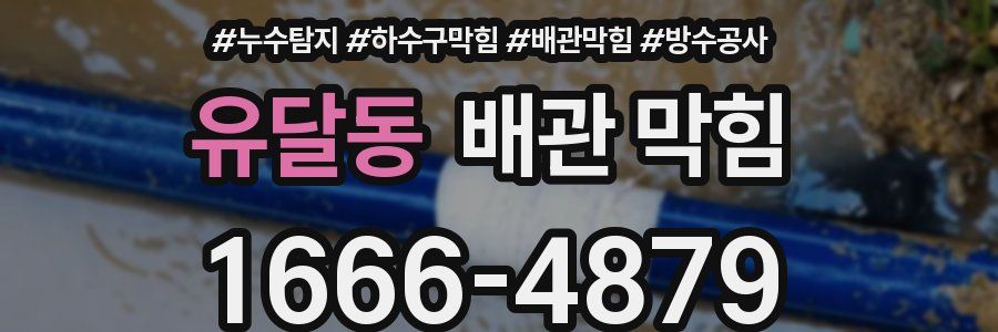 유달동 배관 막힘