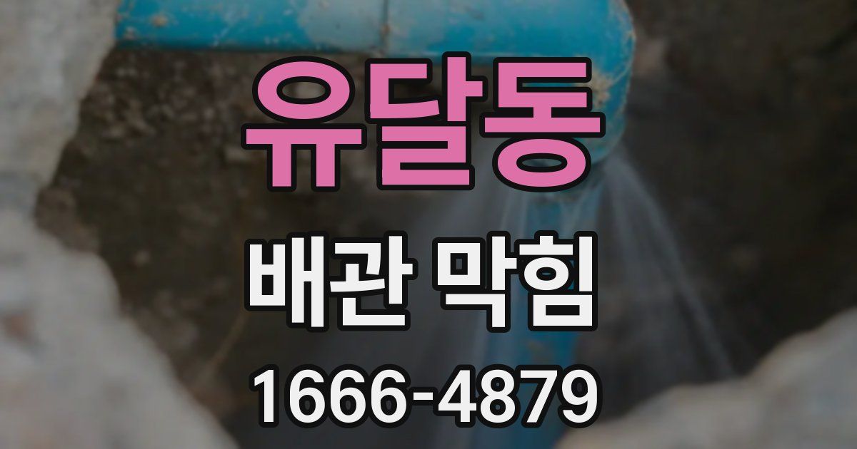 유달동 배관 막힘