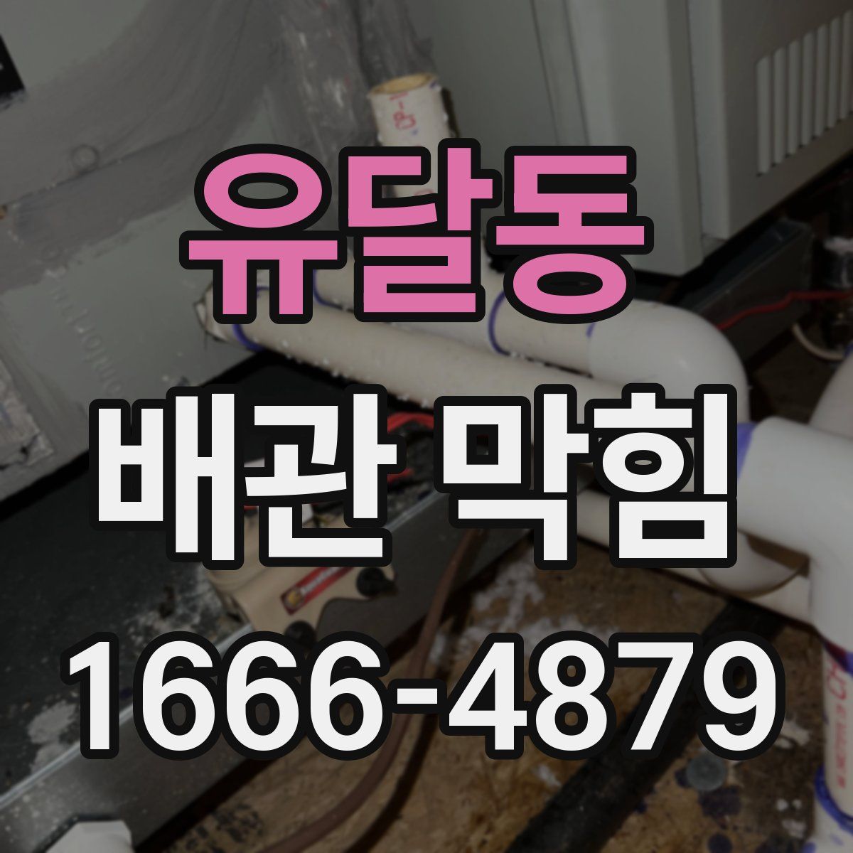 유달동 배관 막힘