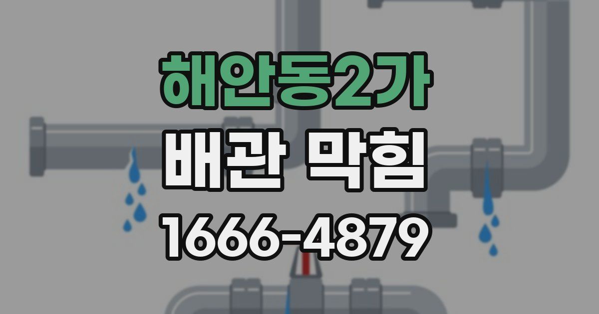 해안동2가 배관 막힘