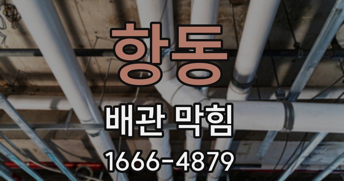 항동 배관 막힘