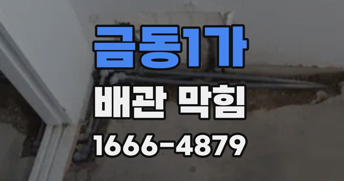 금동1가 배관 막힘