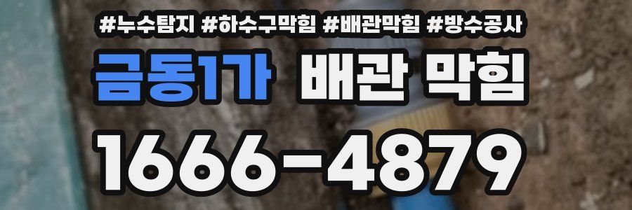 금동1가 배관 막힘