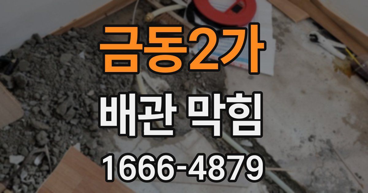금동2가 배관 막힘