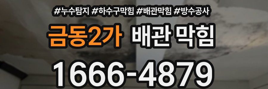 금동2가 배관 막힘
