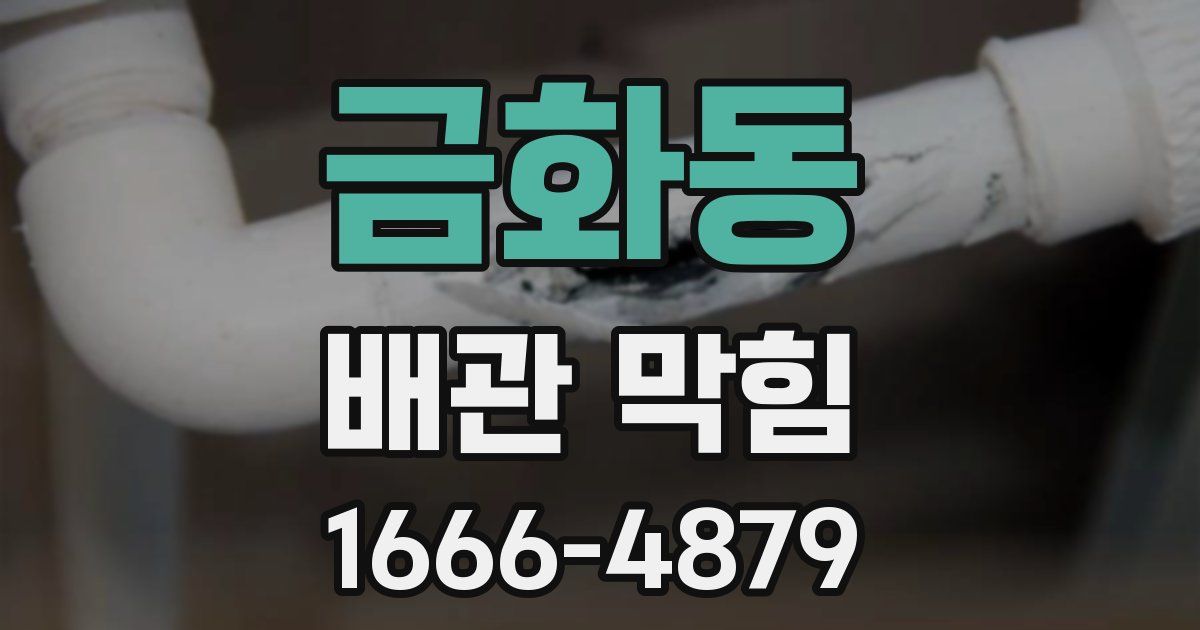 금화동 배관 막힘