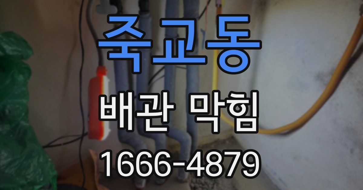 죽교동 배관 막힘