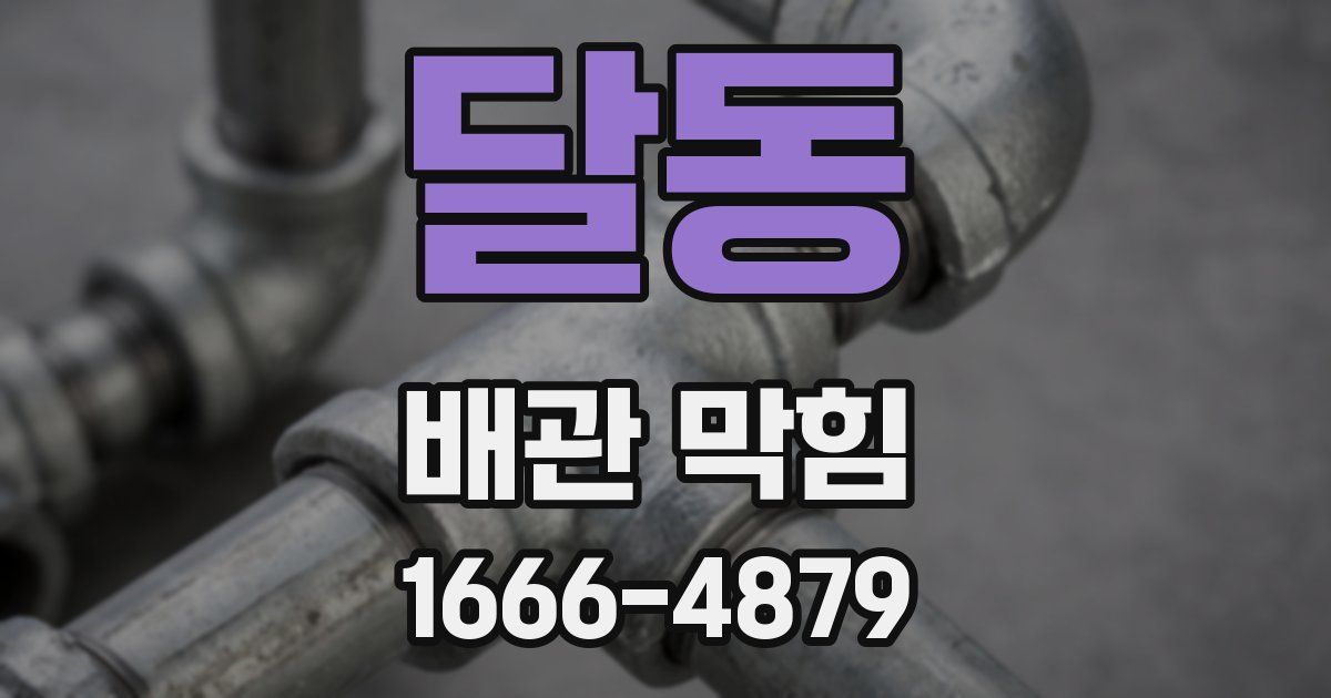 달동 배관 막힘
