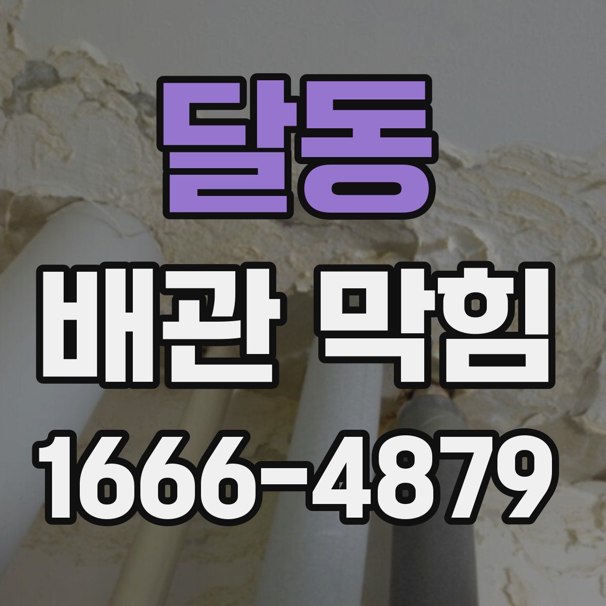 달동 배관 막힘