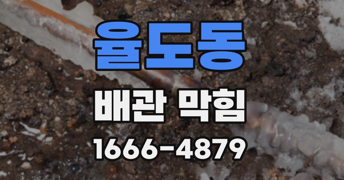 율도동 배관 막힘