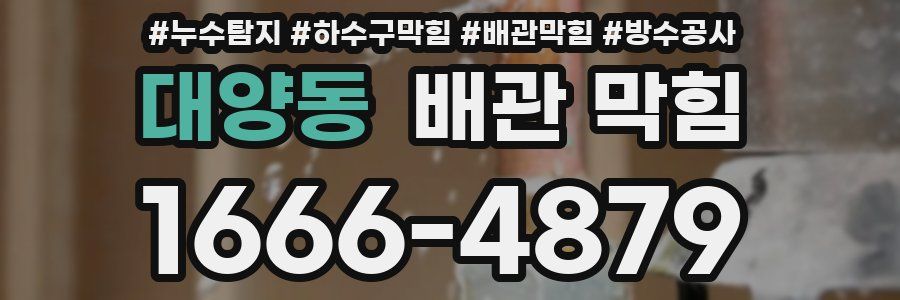대양동 배관 막힘