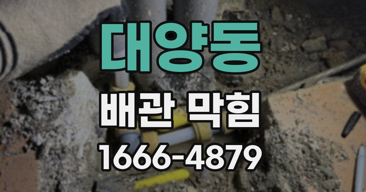 대양동 배관 막힘