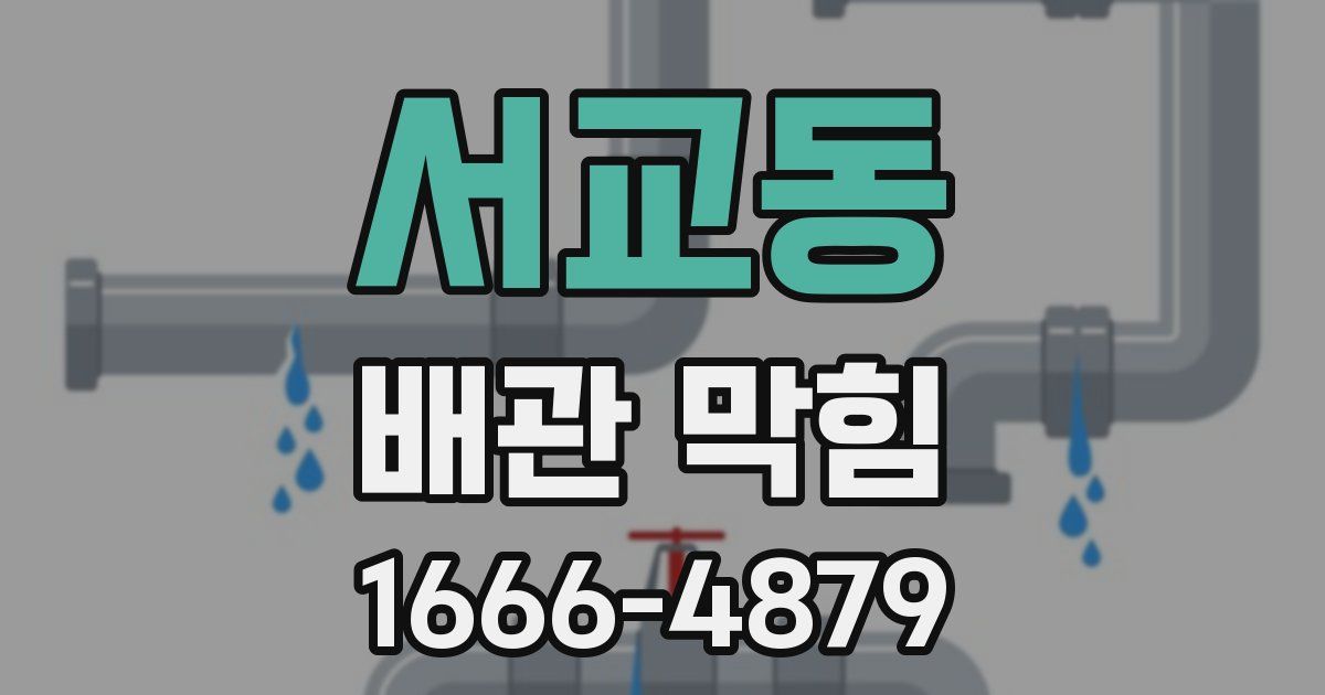 서교동 배관 막힘