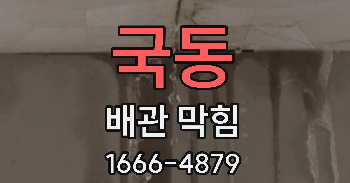 국동 배관 막힘