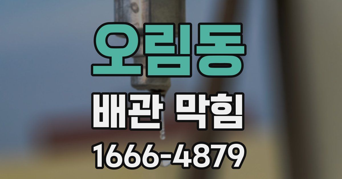 오림동 배관 막힘