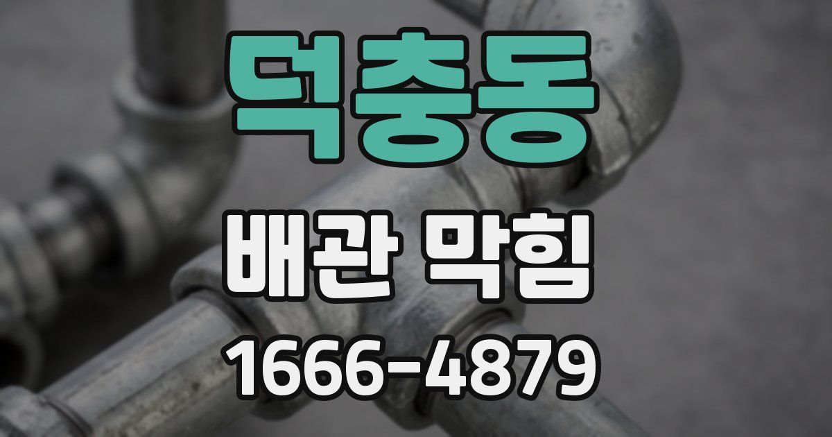 덕충동 배관 막힘