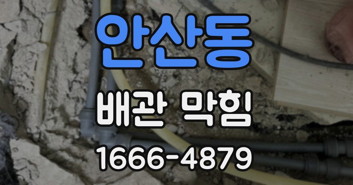 안산동 배관 막힘