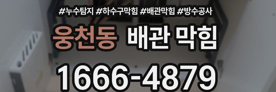 웅천동 배관 막힘