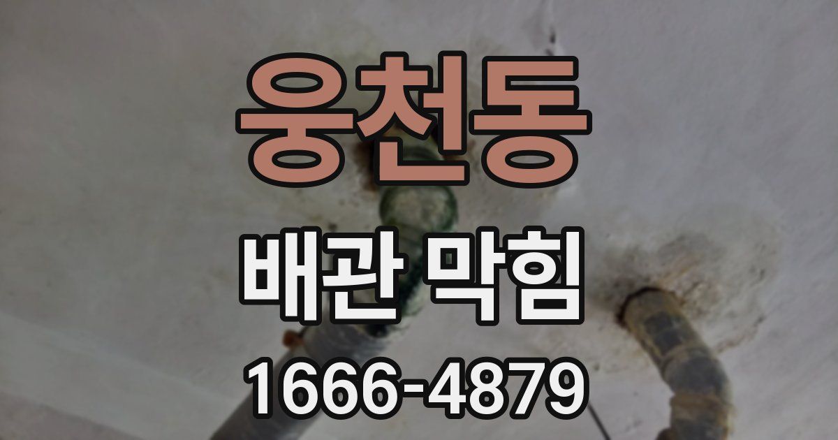 웅천동 배관 막힘