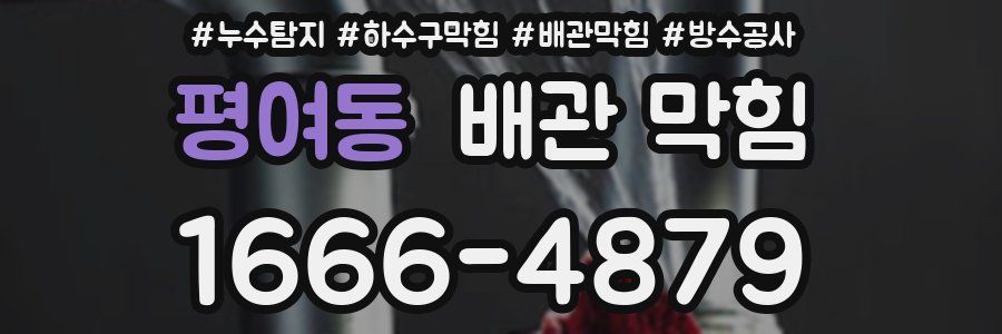 평여동 배관 막힘