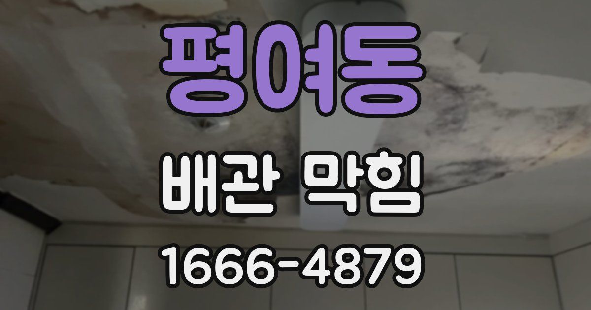 평여동 배관 막힘
