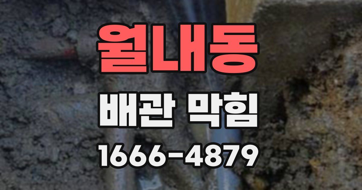 월내동 배관 막힘